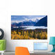 View Of Matanuska Glacier With Golden Autumnal Aspen Trees Wall Mural