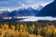 View Of Matanuska Glacier With Golden Autumnal Aspen Trees Wall Mural