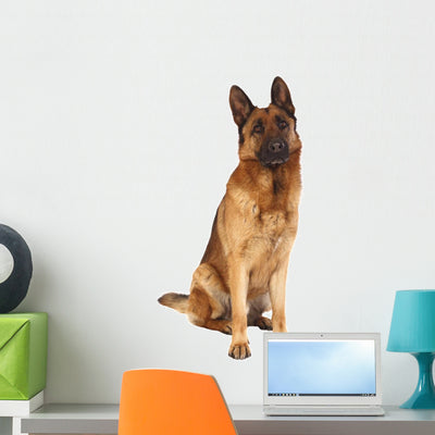 German Shepard Portrait Wall Decal shown on a wall