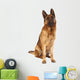 German Shepard Portrait Wall Decal