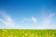 Grassland and sky Wall Mural