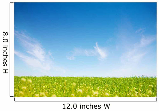 Grassland and sky Wall Mural