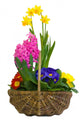 Blumenkorb Wall Decal