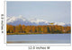 Float Plane Taking Off From Lake Lucille In Wasilla, Sc, Alaska Wall Mural