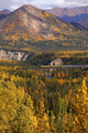 Alaska Railroad Train Crossing A Tressel At Denali National Park Wall Mural