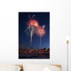 Fur Rondy Fireworks Over Anchorage, Southcentral, Alaska, Winter Wall Mural
