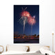 Fur Rondy Fireworks Over Anchorage, Southcentral, Alaska, Winter Wall Mural