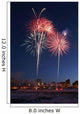 Fur Rondy Fireworks Over Anchorage, Southcentral, Alaska, Winter Wall Mural