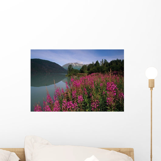Fireweed Along Shore Of Kenai Lake Summer Kp Alaska Wall Mural