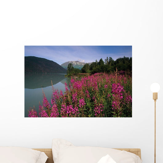 Fireweed Along Shore Of Kenai Lake Summer Kp Alaska Wall Mural