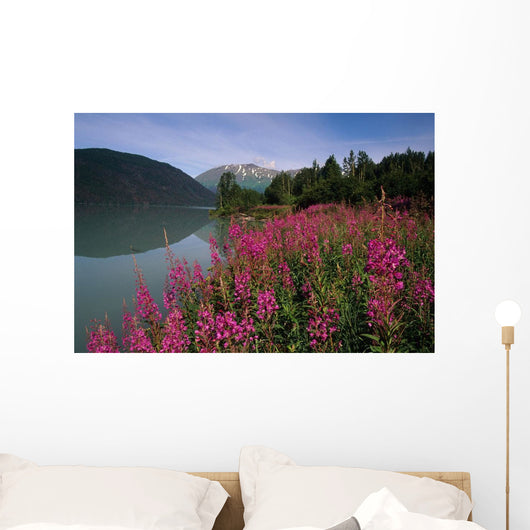 Fireweed Along Shore Of Kenai Lake Summer Kp Alaska Wall Mural