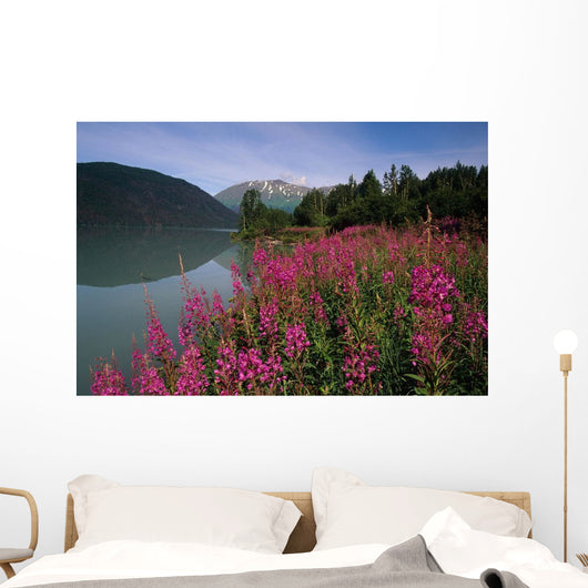 Fireweed Along Shore Of Kenai Lake Summer Kp Alaska Wall Mural