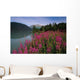 Fireweed Along Shore Of Kenai Lake Summer Kp Alaska Wall Mural