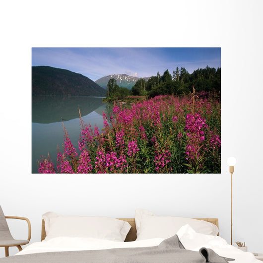 Fireweed Along Shore Of Kenai Lake Summer Kp Alaska Wall Mural