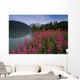 Fireweed Along Shore Of Kenai Lake Summer Kp Alaska Wall Mural