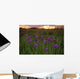 Wild Iris Blooms Wall Mural
