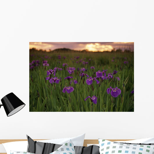Wild Iris Blooms Wall Mural