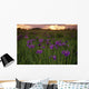 Wild Iris Blooms Wall Mural
