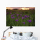 Wild Iris Blooms Wall Mural