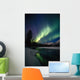 Northern Lights Over Portage River Valley Sc Alaska Wall Mural