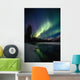 Northern Lights Over Portage River Valley Sc Alaska Wall Mural