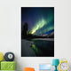 Northern Lights Over Portage River Valley Sc Alaska Wall Mural