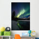 Northern Lights Over Portage River Valley Sc Alaska Wall Mural