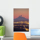 Minor Eruption Ash and Wall Decal 1