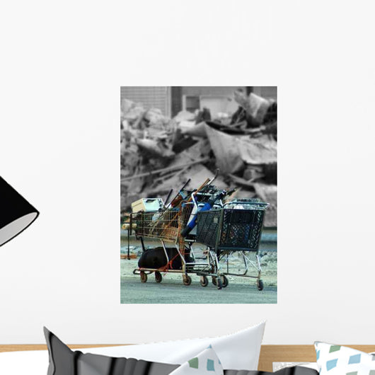 Grunge Shopping Wall Decal