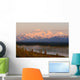 Mt Mckinley Reflected In Small Lake At Sunrise In Broad Pass Wall Mural