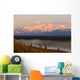 Mt Mckinley Reflected In Small Lake At Sunrise In Broad Pass Wall Mural