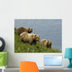 Brown Bear Sow And Cubs Eating Sedge Grasses In Hallo Bay Wall Mural