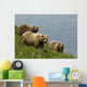 Brown Bear Sow And Cubs Eating Sedge Grasses In Hallo Bay Wall Mural