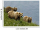 Brown Bear Sow And Cubs Eating Sedge Grasses In Hallo Bay Wall Mural