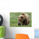 Brown Bear Eating Sedge Grasses In Hallo Bay Wall Mural