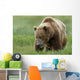 Brown Bear Eating Sedge Grasses In Hallo Bay Wall Mural