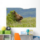 Brown Bear Scratches Their Back On A Tree In Kukak Bay Wall Mural