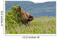 Brown Bear Scratches Their Back On A Tree In Kukak Bay Wall Mural