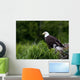 Bald Eagle Nesting With Her Chick Wall Mural