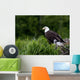 Bald Eagle Nesting With Her Chick Wall Mural