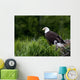 Bald Eagle Nesting With Her Chick Wall Mural