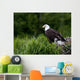 Bald Eagle Nesting With Her Chick Wall Mural