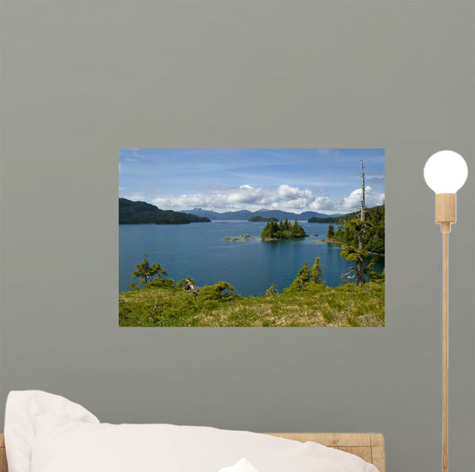 Scenic Looking out Johnson Wall Decal
