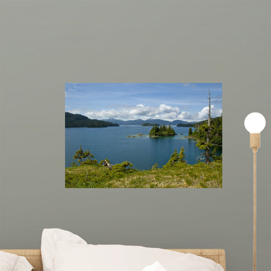 Scenic Looking out Johnson Wall Decal