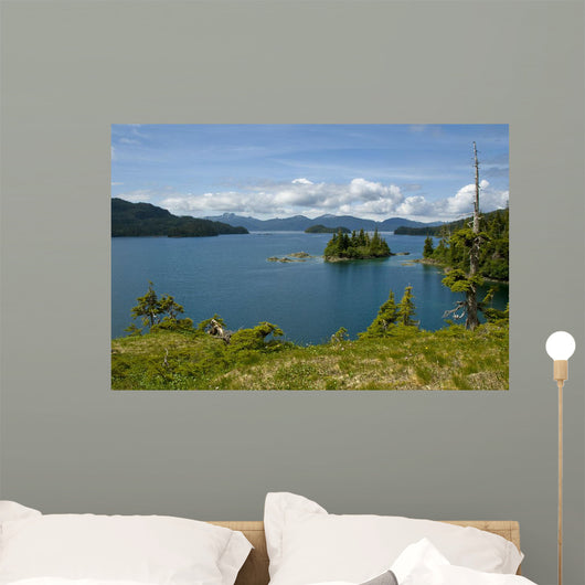 Scenic Looking out Johnson Wall Decal