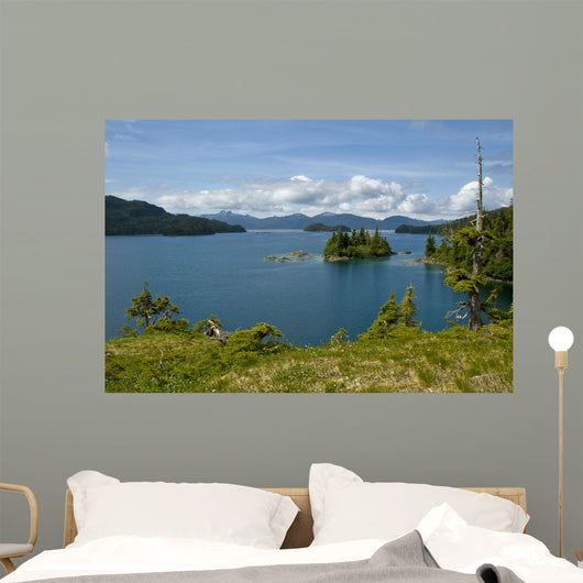 Scenic Looking out Johnson Wall Decal