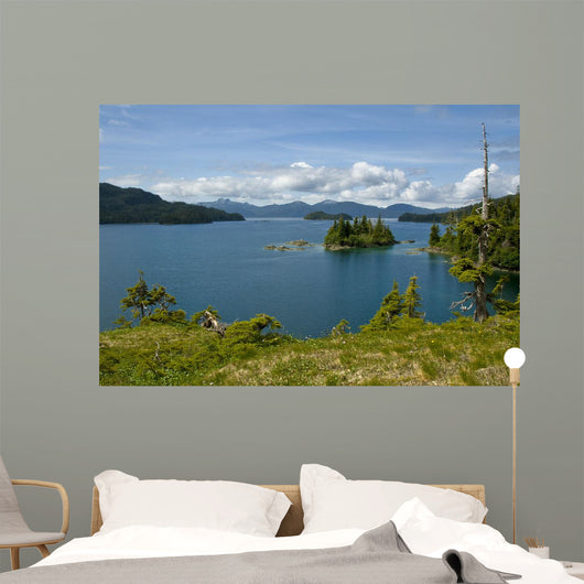 Scenic Looking out Johnson Wall Decal