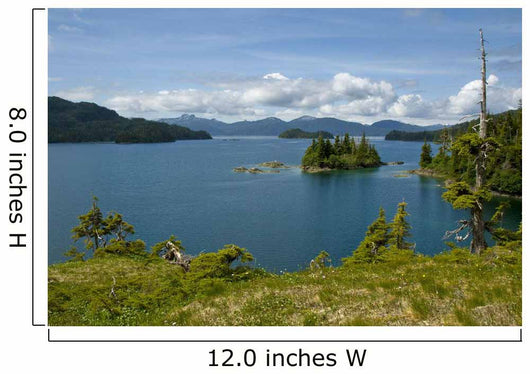 Scenic Looking out Johnson Wall Decal