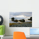 Scenic View Of The The Sun Setting Over Prince William Sound Wall Mural