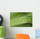 Close Up Of Water Droplets On A Blade Of Grass Wall Mural